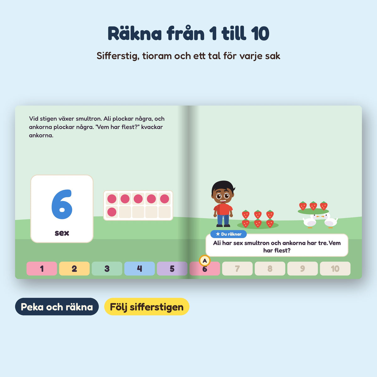 NAMNs räknebok