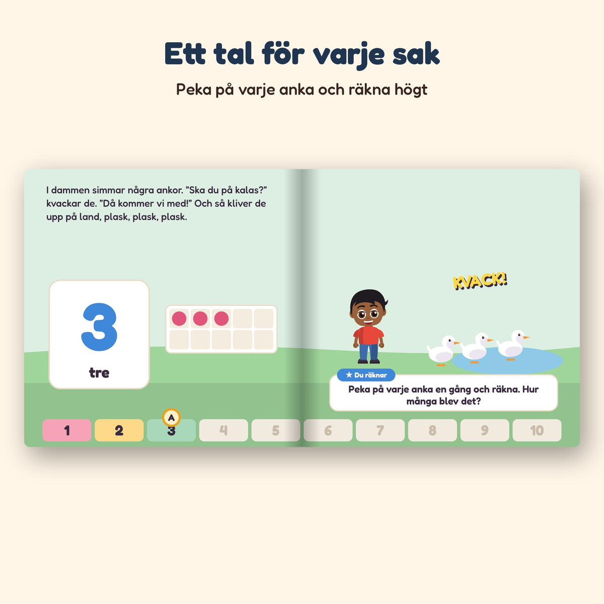 NAMNs räknebok